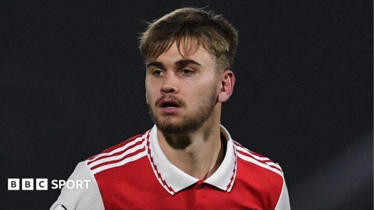 Billy Vigar: Solid perimeter walls around pitches banned by FA after death of former Arsenal youngster Billy Vigar looking on in a red Arsenal kit